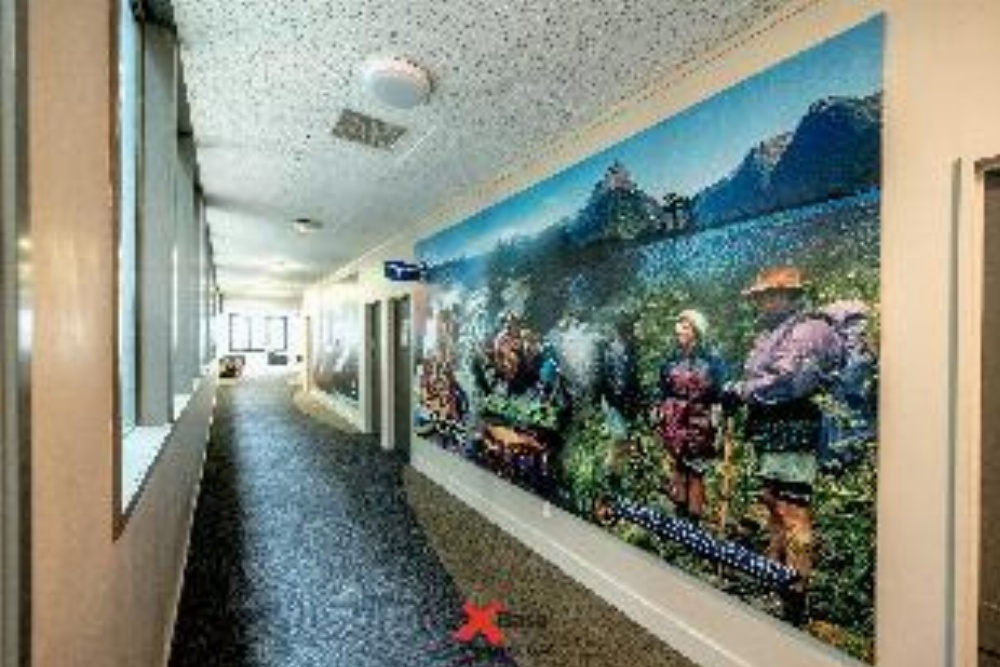 Base Auckland